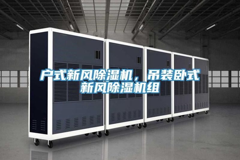 戶(hù)式新風(fēng)除濕機，吊裝臥式新風(fēng)除濕機組