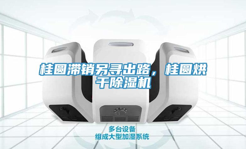 桂圓滯銷(xiāo)另尋出路，桂圓烘干除濕機