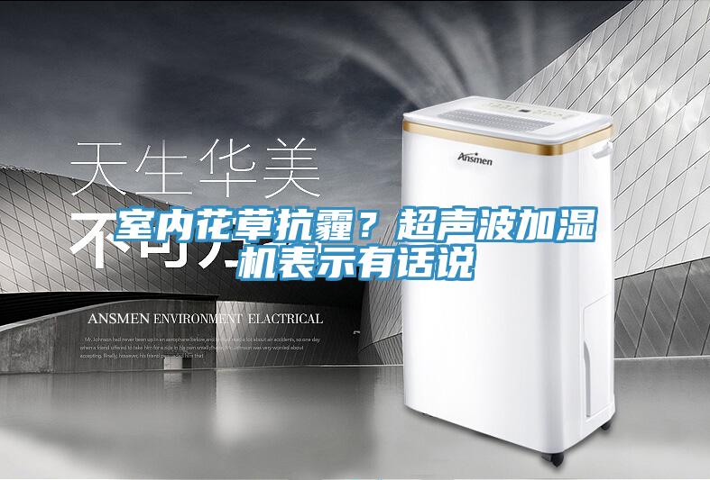 室內花草抗霾？超聲波加濕機表示有話(huà)說(shuō)