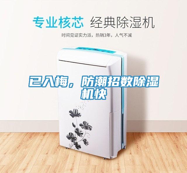 已入梅，防潮招數除濕機快
