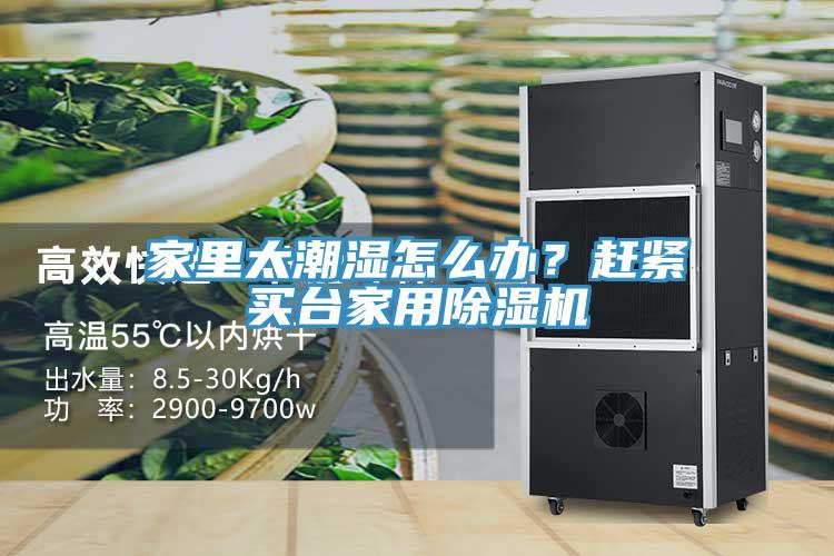家里太潮濕怎么辦？趕緊買(mǎi)臺家用除濕機