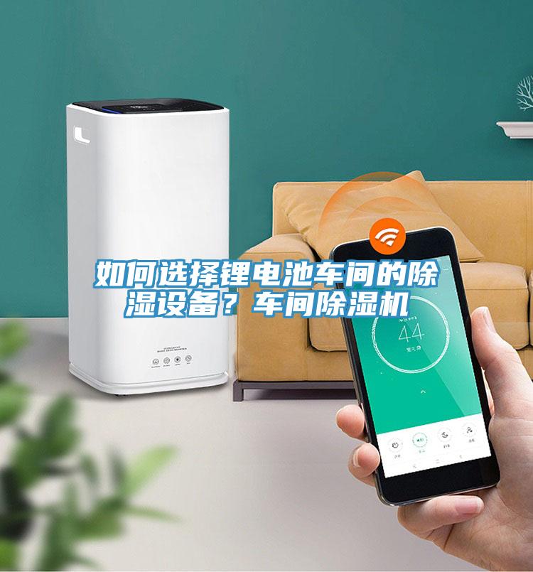 如何選擇鋰電池車(chē)間的除濕設備？車(chē)間除濕機