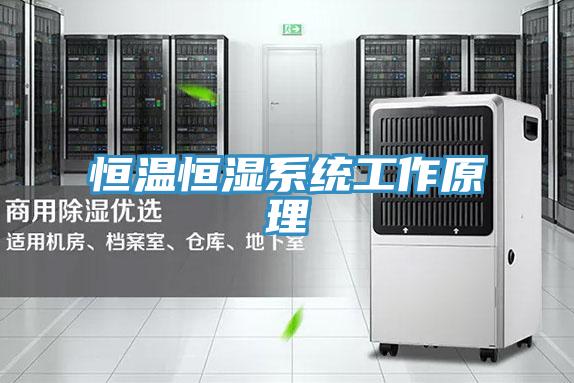 恒溫恒濕系統工作原理