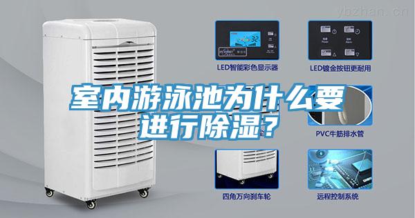 室內游泳池為什么要進(jìn)行除濕？
