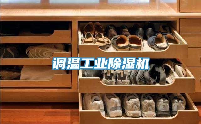 調溫工業(yè)除濕機