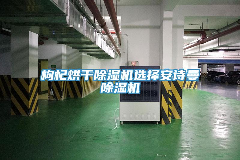 枸杞烘干除濕機選擇安詩(shī)曼除濕機