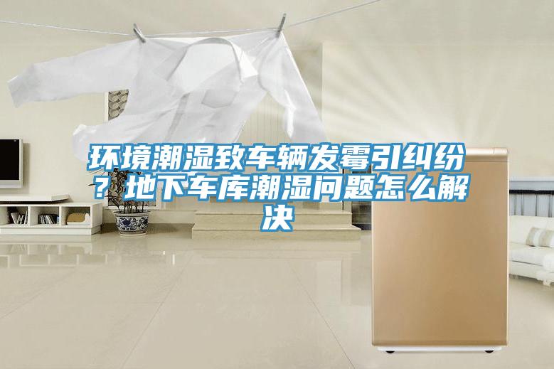 環(huán)境潮濕致車(chē)輛發(fā)霉引糾紛？地下車(chē)庫潮濕問(wèn)題怎么解決