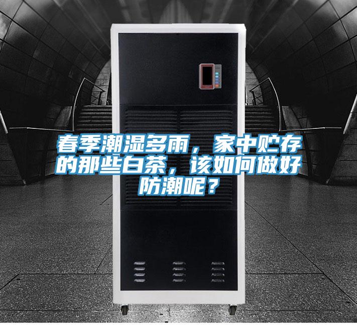 春季潮濕多雨，家中貯存的那些白茶，該如何做好防潮呢？