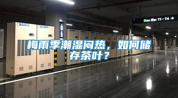 梅雨季潮濕悶熱，如何儲存茶葉？