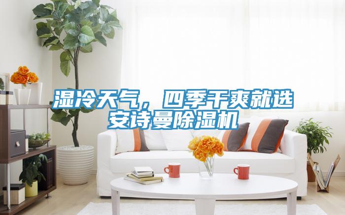 濕冷天氣，四季干爽就選安詩(shī)曼除濕機