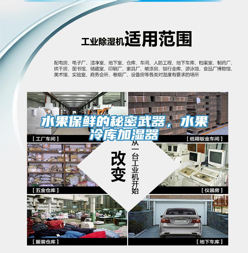 水果保鮮的秘密武器，水果冷庫加濕器