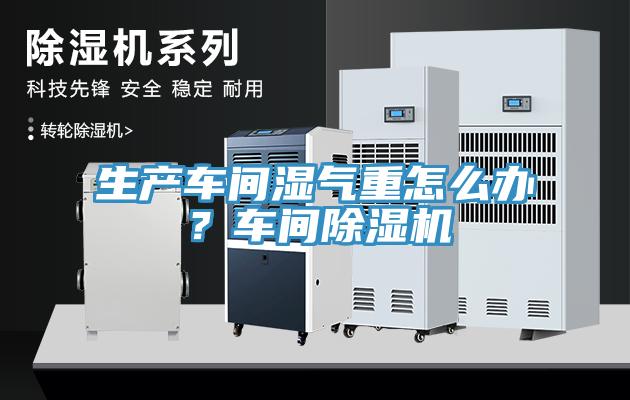生產(chǎn)車(chē)間濕氣重怎么辦？車(chē)間除濕機