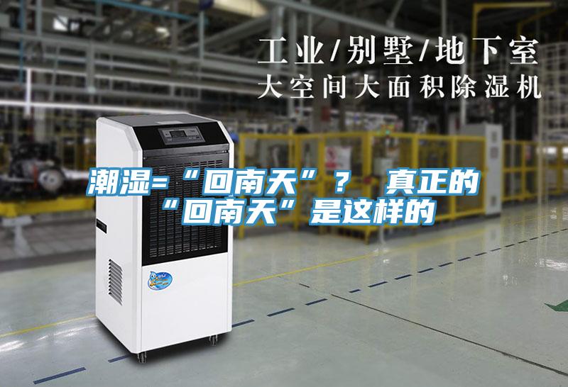潮濕=“回南天”？ 真正的“回南天”是這樣的