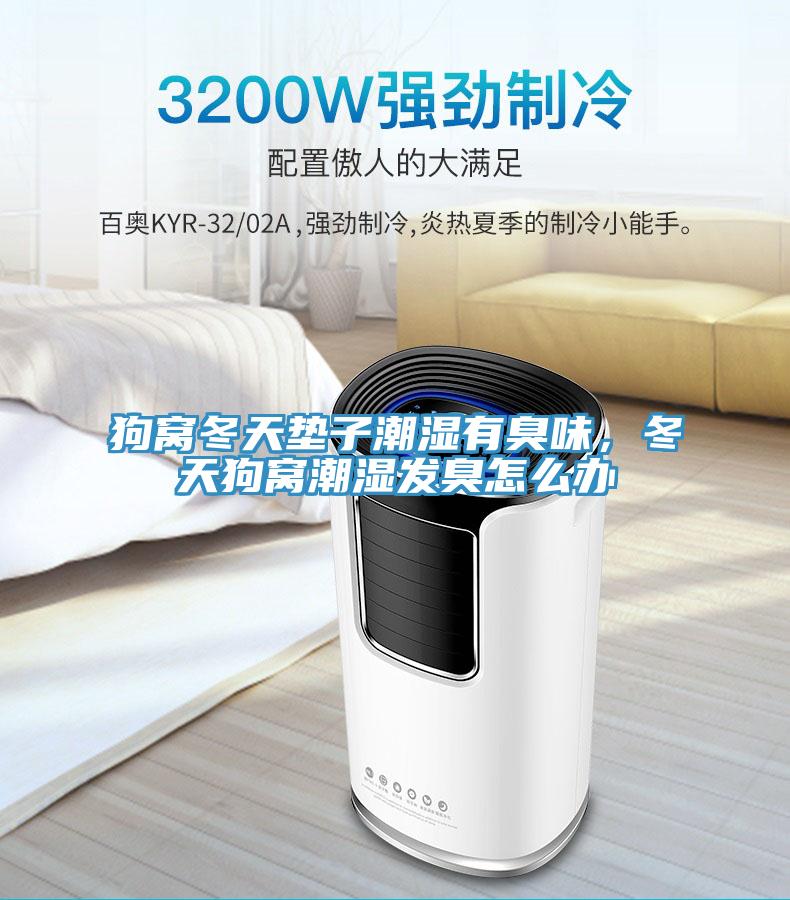 狗窩冬天墊子潮濕有臭味，冬天狗窩潮濕發(fā)臭怎么辦