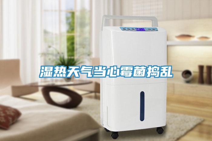濕熱天氣當心霉菌搗亂