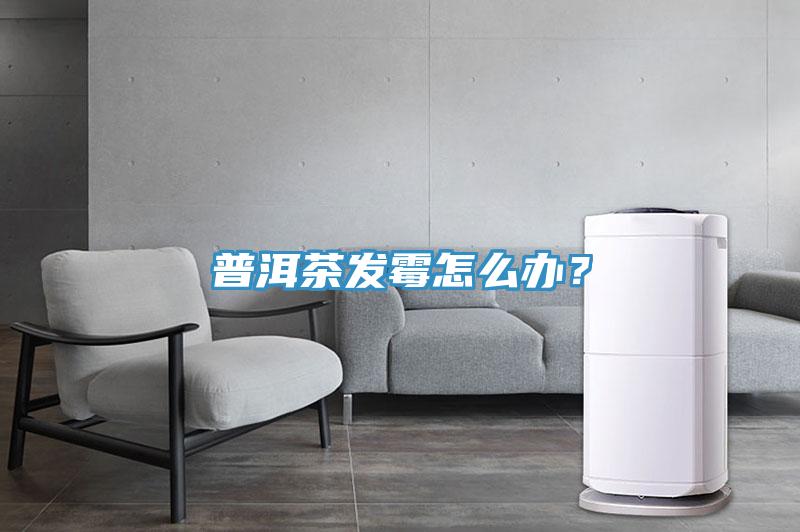 普洱茶發(fā)霉怎么辦？