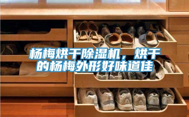 楊梅烘干除濕機，烘干的楊梅外形好味道佳