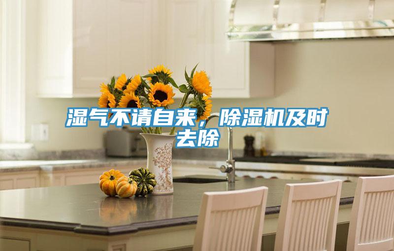 濕氣不請自來(lái)，除濕機及時(shí)去除