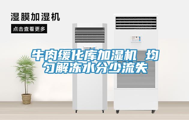 牛肉緩化庫加濕機 均勻解凍水分少流失
