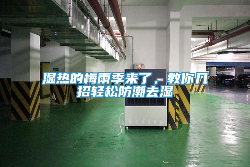 濕熱的梅雨季來(lái)了，教你幾招輕松防潮去濕