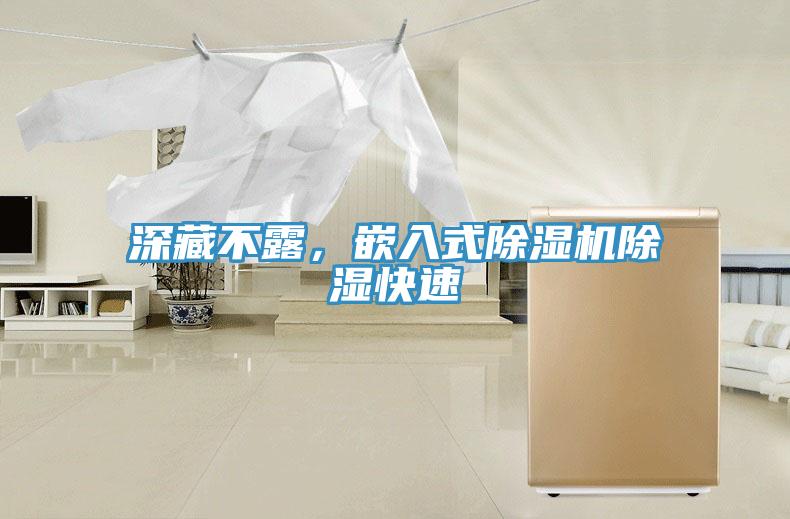 深藏不露，嵌入式除濕機除濕快速