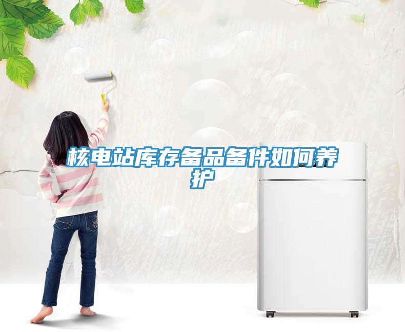 核電站庫存備品備件如何養護