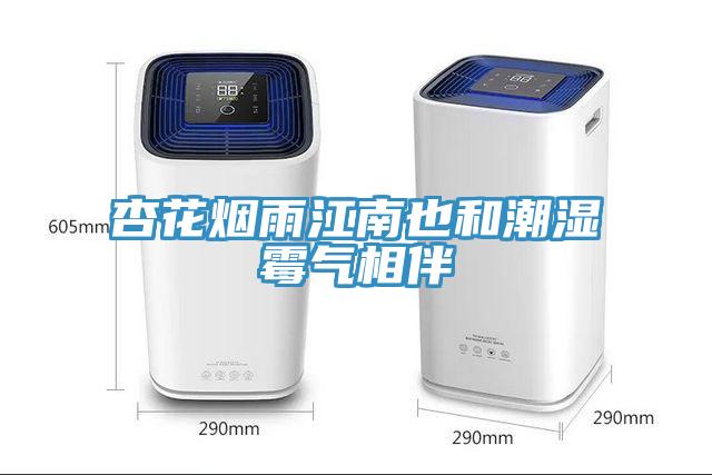 杏花煙雨江南也和潮濕霉氣相伴