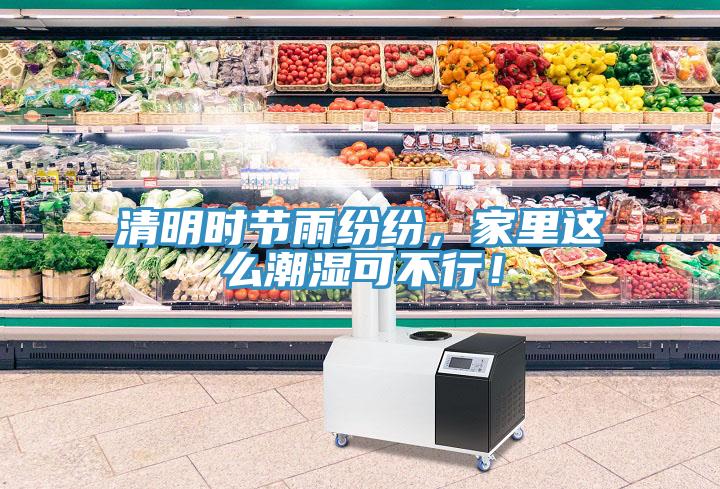 清明時(shí)節雨紛紛，家里這么潮濕可不行！