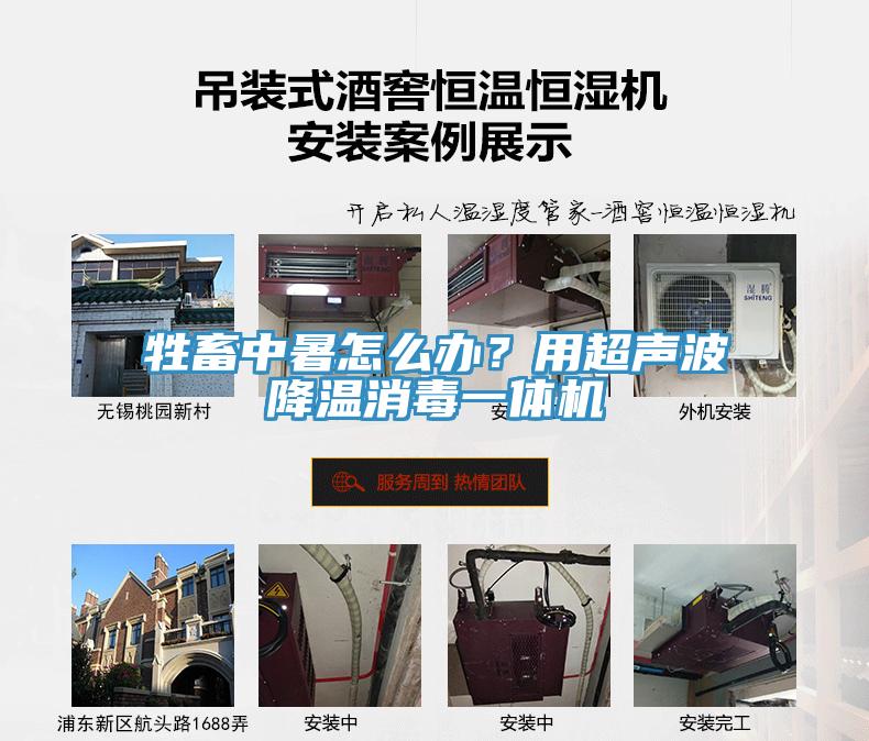 牲畜中暑怎么辦？用超聲波降溫消毒一體機