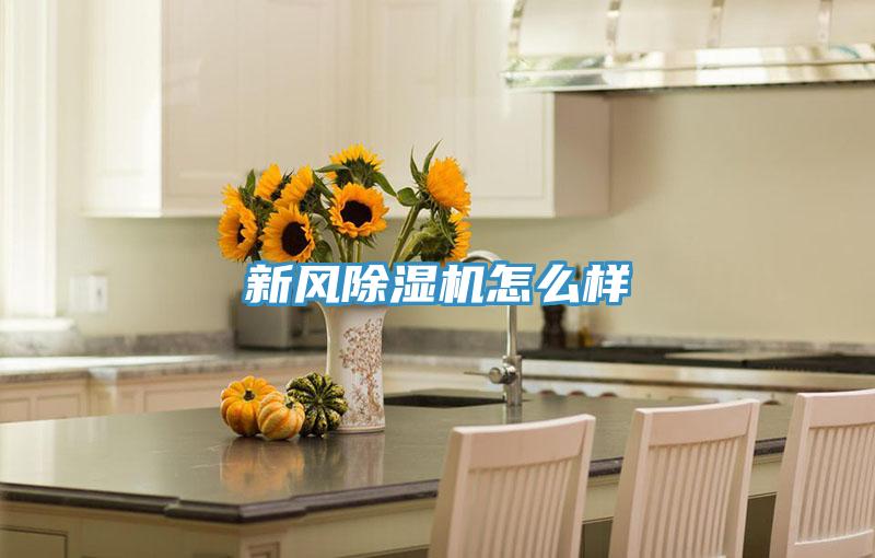 新風(fēng)除濕機怎么樣