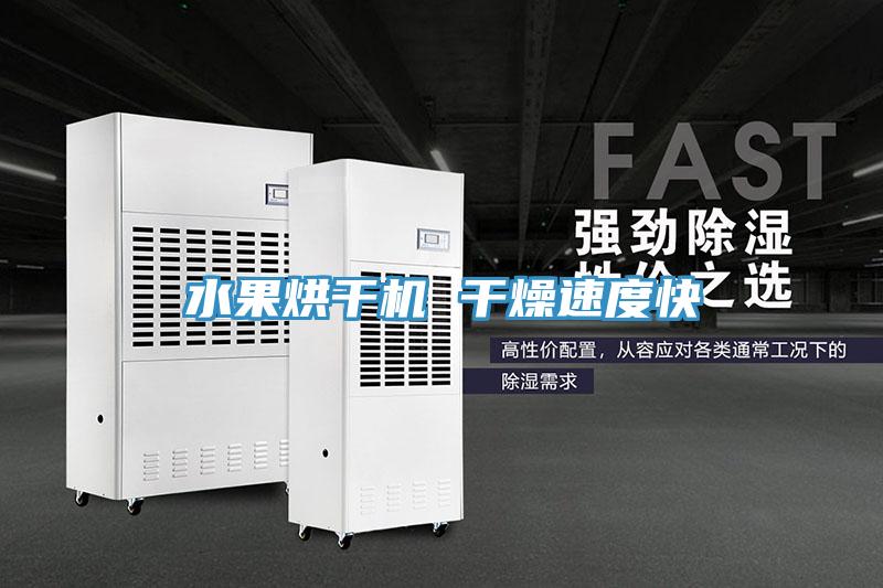 水果烘干機 干燥速度快
