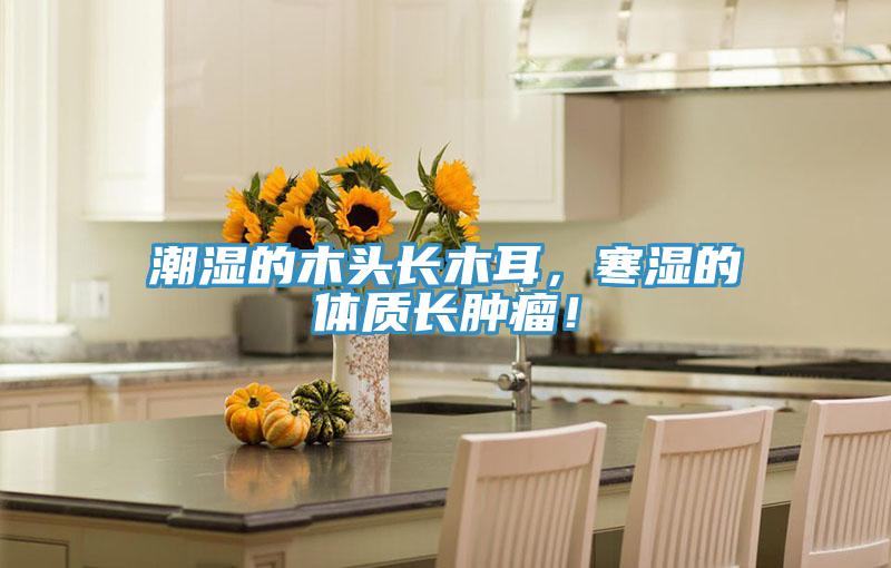 潮濕的木頭長(cháng)木耳，寒濕的體質(zhì)長(cháng)腫瘤！