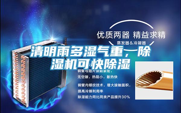清明雨多濕氣重，除濕機可快除濕