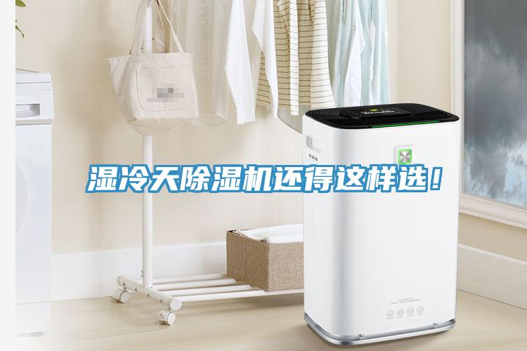 濕冷天除濕機還得這樣選！
