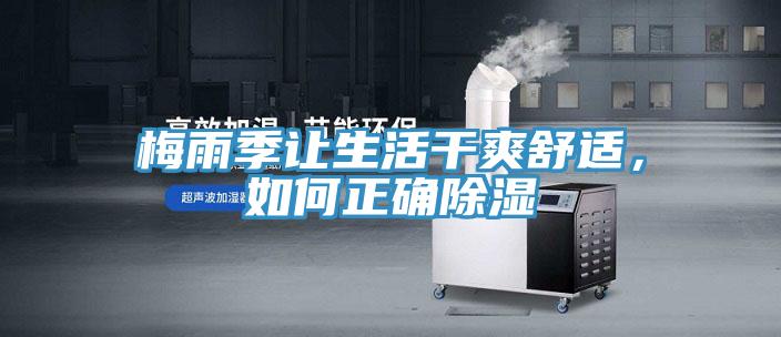梅雨季讓生活干爽舒適，如何正確除濕