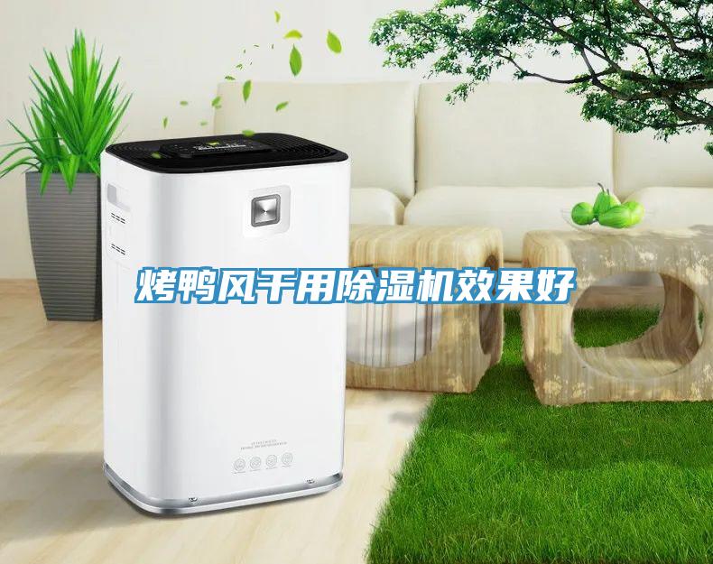 烤鴨風(fēng)干用除濕機效果好