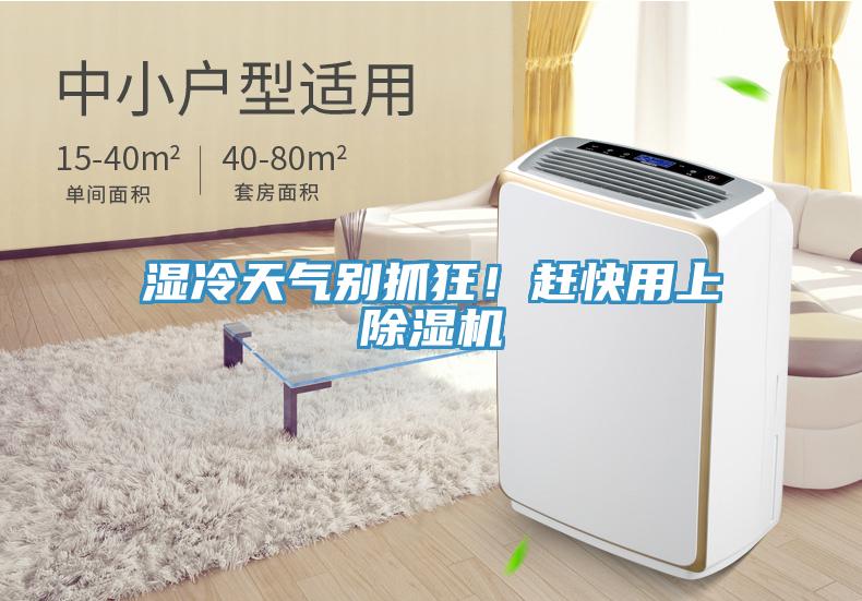 濕冷天氣別抓狂！趕快用上除濕機