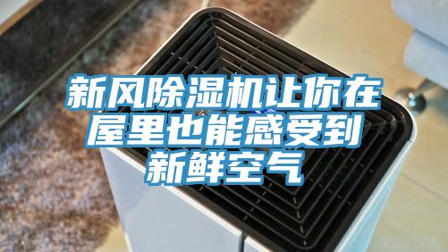 新風(fēng)除濕機讓你在屋里也能感受到新鮮空氣