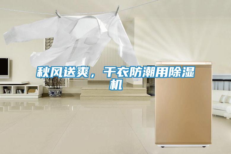 秋風(fēng)送爽，干衣防潮用除濕機