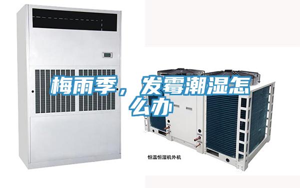 梅雨季，發(fā)霉潮濕怎么辦