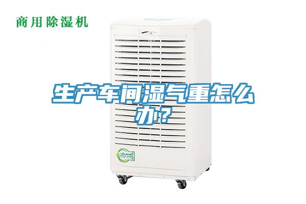 生產(chǎn)車(chē)間濕氣重怎么辦？