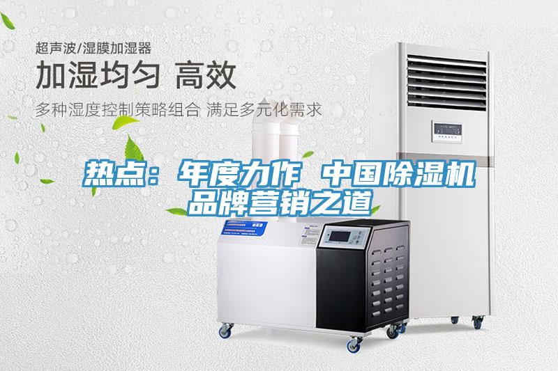 熱點(diǎn)：年度力作 中國除濕機品牌營(yíng)銷(xiāo)之道