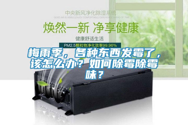 梅雨季，各種東西發(fā)霉了，該怎么辦？如何除霉除霉味？