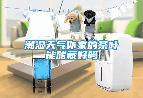 潮濕天氣你家的茶葉能儲藏好嗎