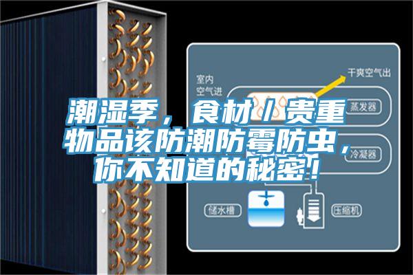 潮濕季，食材／貴重物品該防潮防霉防蟲(chóng)，你不知道的秘密！
