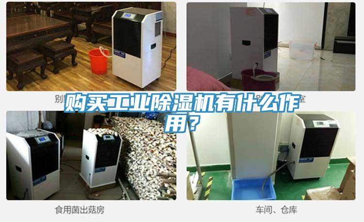 購買(mǎi)工業(yè)除濕機有什么作用？