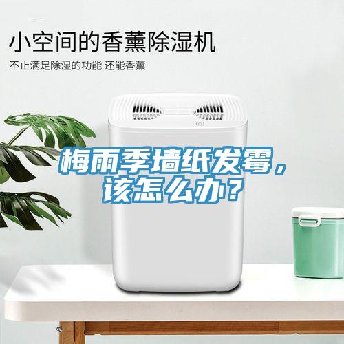 梅雨季墻紙發(fā)霉，該怎么辦？