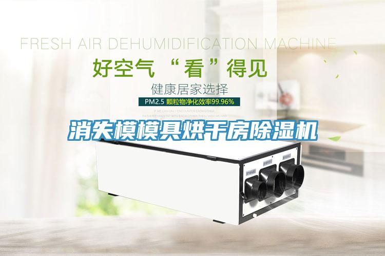 消失模模具烘干房除濕機
