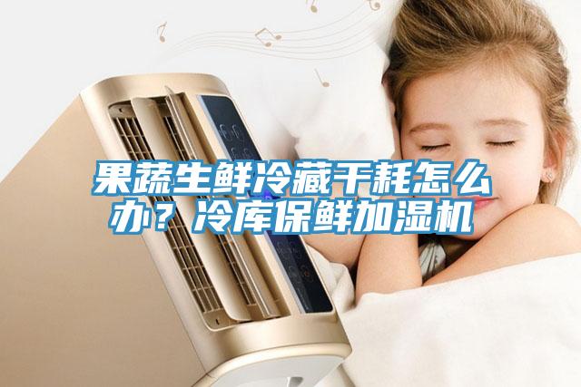 果蔬生鮮冷藏干耗怎么辦？冷庫保鮮加濕機