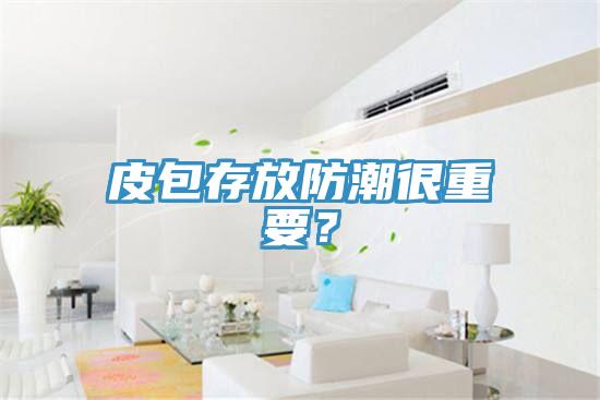 皮包存放防潮很重要？